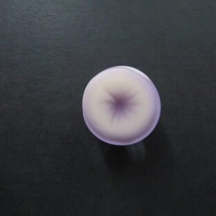 羊羹朝顔帯留め紫