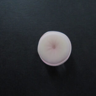 羊羹朝顔帯留めピンク